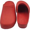 Antistatic Autoclavable OT Surgical Clogs AAT-Red