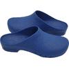 Antistatic OT Clogs Slippers for Doctors AAT-Saxe